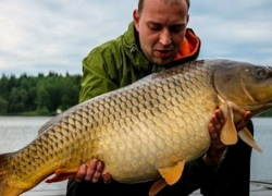 Поймать самого большого карпа в Красивом предложили тамбовчанам