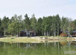 Под Котовском жители пожаловались на вырубку сосен на берегу Котовского моря