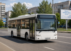 Автобус из Строителя до Красненькой с 1 сентября пойдёт дальше