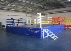 Более 40 миллионов рублей направят на развитие спорта и физкультуры на Тамбовщине в текущем году 