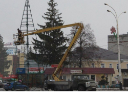 Новогодние ёлки вырастают на главных площадях городов области 