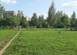 В Строителе на месте парка хотят построить детский сад