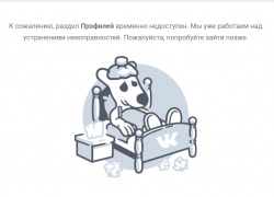 Тамбовчане остались без ВКонтакта