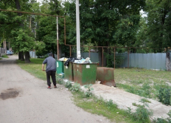Нехватку мест для сбора ТБО обнаружили в тамбовских лесах 