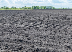 Агрохолдинг погибшего бизнесмена Юрия Хохлова продолжает нести потери