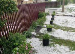 Жители села Знаменка Петровского района остались без урожая из-за града