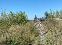 Скотомогильник в Котовске угрожает окружающей среде: прокуратура требует от властей решить проблему 