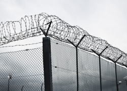 Тамбовские заключённые написали письмо Шойгу с просьбой отправить их на фронт