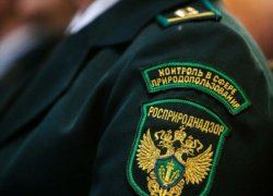 Росприроднадзор проверяет состояние воды в Цне после коммунальных аварий в Тамбове