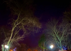 На выходных тамбовчан ждут дожди, похолодание и ветер