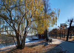 Погода на выходные: в Тамбове тепло и облачно с прояснениями