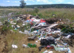 Свалка мусора в Знаменском районе будет ликвидирована по решению суда 
