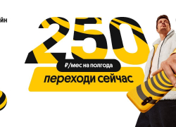 Билайн подключает в Тамбове услуги связи по цене чашки кофе