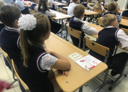 Тамбовские школьники начнут учебный год в обычном режиме