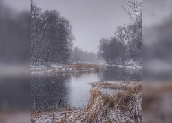 До конца рабочей недели в Тамбове останется сильный ветер и мороз