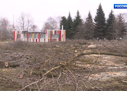 В Тамбове внезапно «облысел» автогородок