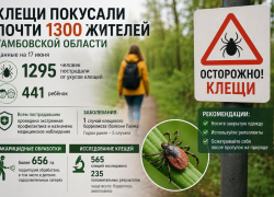С начала сезона клещи покусали почти 1300 жителей Тамбовской области