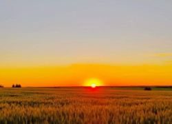 До конца рабочей недели в Тамбове станет ещё жарче