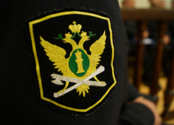 Мать троих сыновей лишилась земельного участка в Тамбовской области из-за невыплаты алиментов