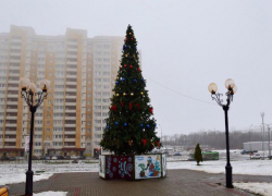 Во Французском сквере засияла разноцветными огнями новогодняя ёлка