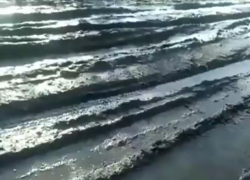 В непролазную грязь превратился асфальт, уложенный меньше года назад в Никифоровском районе