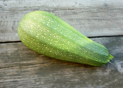 В тамбовской кофейне запустили «кабачок-кроссинг»