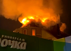 В Пригородном лесу вспыхнуло бывшее кафе