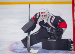 «Волки» сломали зубы об аутсайдера ВХЛ 