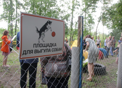 В Тамбове появятся три площадки для выгула собак