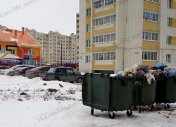«Две хозяйки на одной кухне»: проблемы контейнерных площадок с двумя мусорными операторами "допекли" тамбовчан