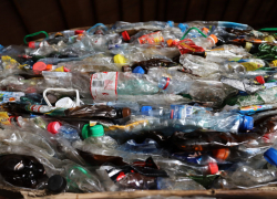 За 2021 год в Тамбовской области отправлено на переработку 1,5 тысячи тонн вторсырья