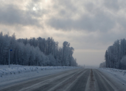 Прокуратура проверит содержание дорог в зимнее время после ДТП с погибшими под Тамбовом