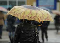 В Тамбове к концу рабочей недели потеплеет 