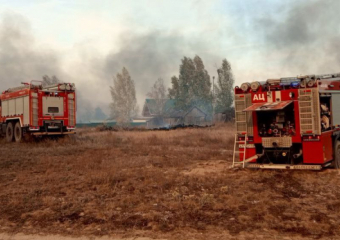 Два месяца после пожаров в Шапкино и Тихом углу: что там происходит