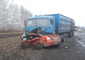 Таинственная связь: еще одна авария с внезапным выездом на встречку произошла под Тамбовом