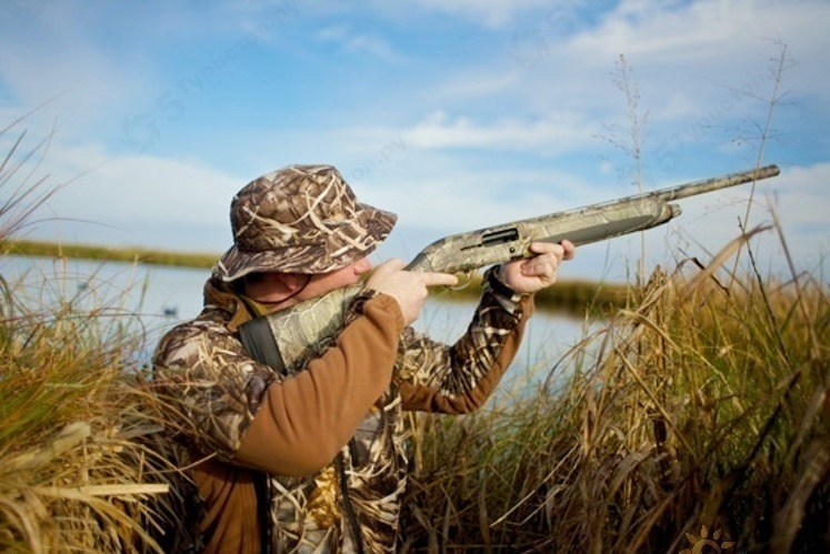 Тамбовским охотникам разрешили стрелять по уткам