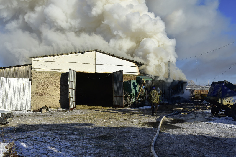 В Гавриловском районе в пожаре погибли корова, быки и овцы