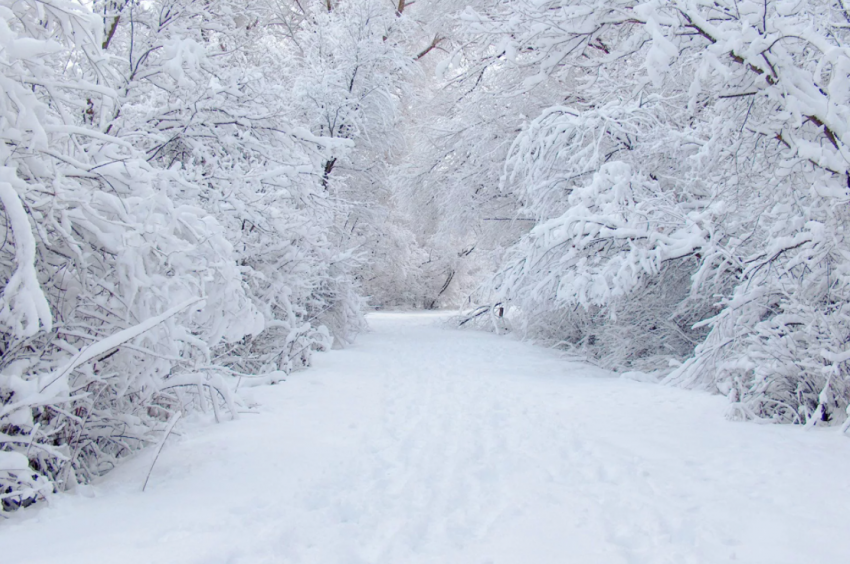 В 2021 году больше всего снега выпало в Уваровском районе
