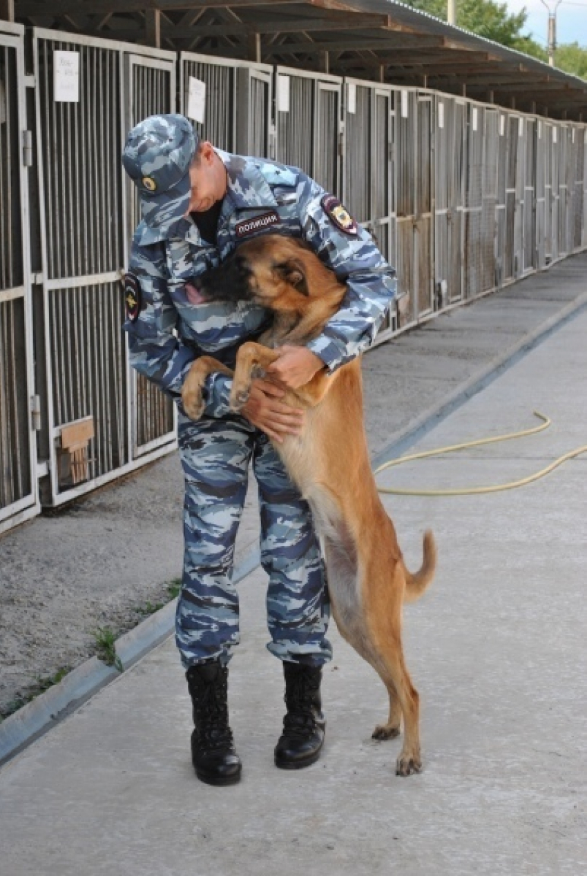 Любимая собака помогла майору полиции стать лучшим в своей профессии