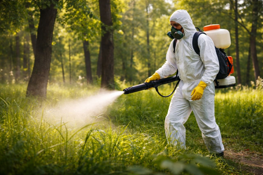 В Тамбове на борьбу с клещами готовы направить миллион рублей