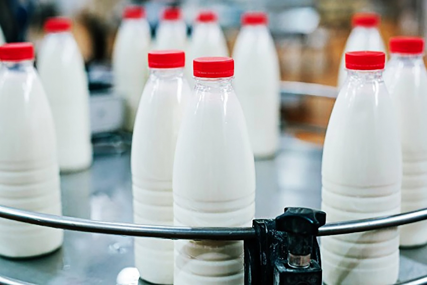 Тамбовскую фирму оштрафовали на 800 тысяч рублей за поставку поддельной «молочки»