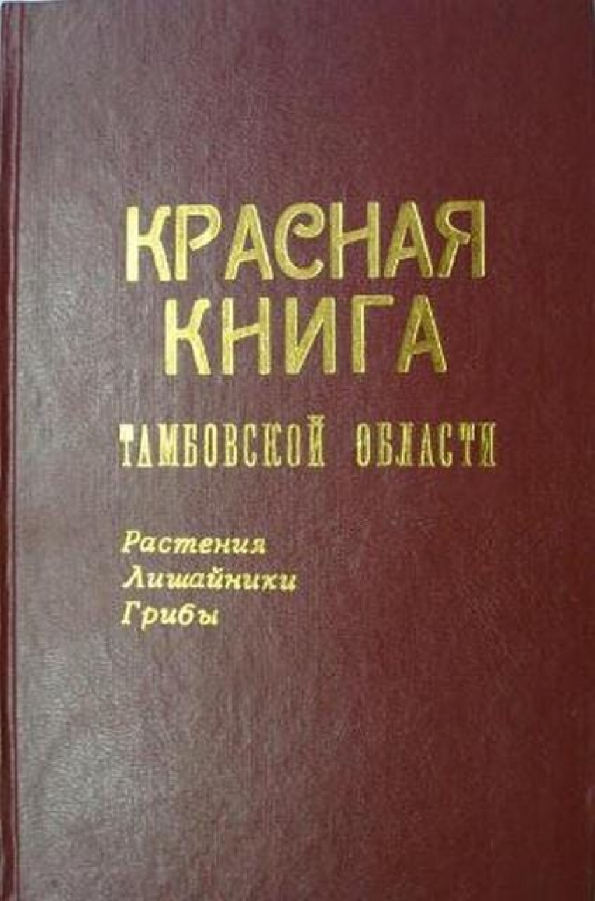 Тамбовская красная книга животных. Название красной книги Тамбовской области. Красная книга Тамбовской области книга. Животные красной книги Тамбовской области. Красная книга Тамбовской области 2019.