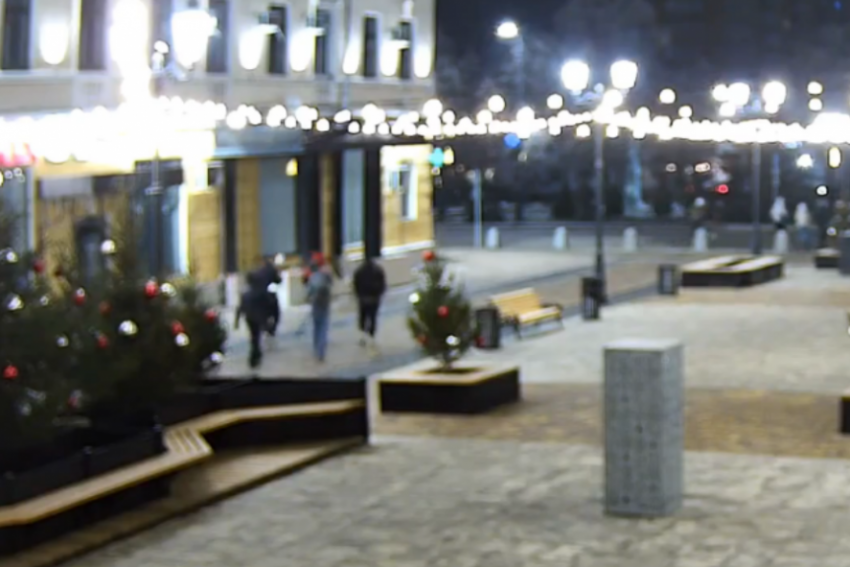 В Тамбове задержали любителей бить новогодние игрушки 