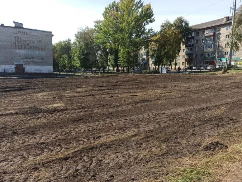 Вопреки обещаниям властей, в сквере на Полынковской спилили все деревья