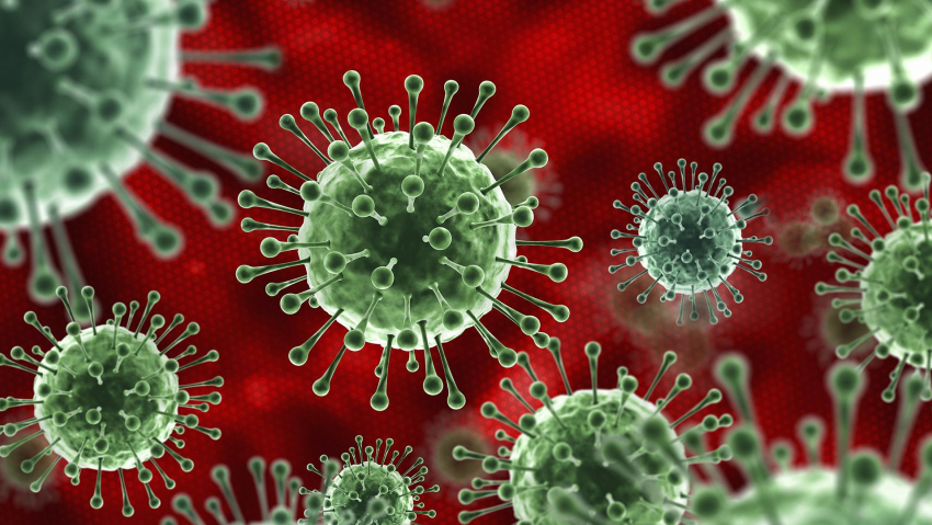 Рост числа заражённых коронавирусом в регионе продолжается