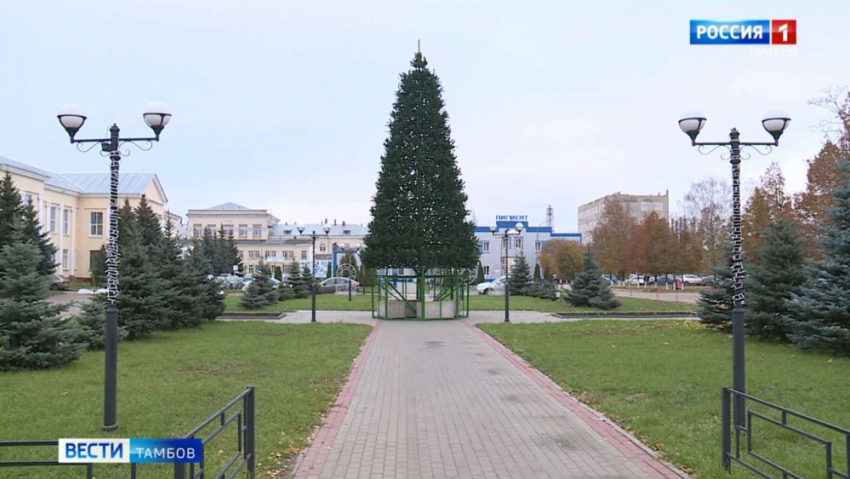 В Тамбове 1 декабря откроют новогоднюю ёлку на «Пигменте»