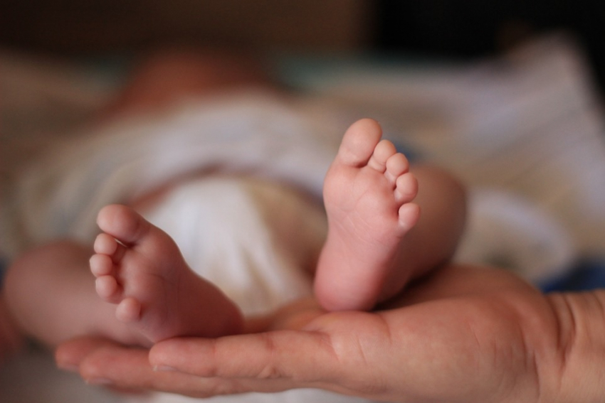 Прохор и Мирослава - самые редкие имена новорождённых за 2019 год