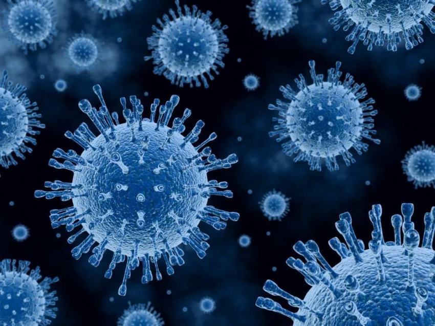 В регионе снизилось количество заболевших коронавирусом