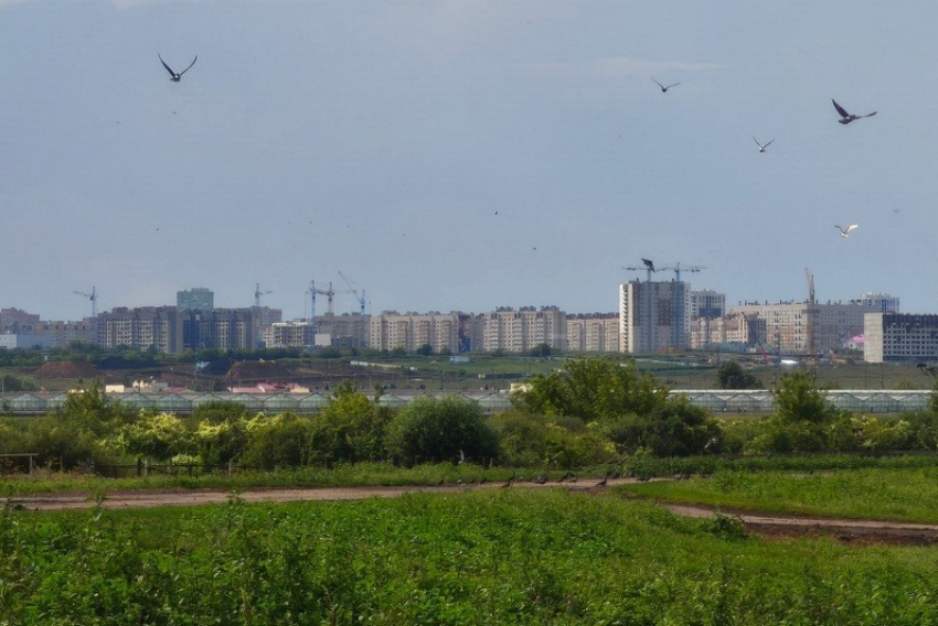 Региональный минстрой хочет забрать земельные участки у племзавода в Тамбове