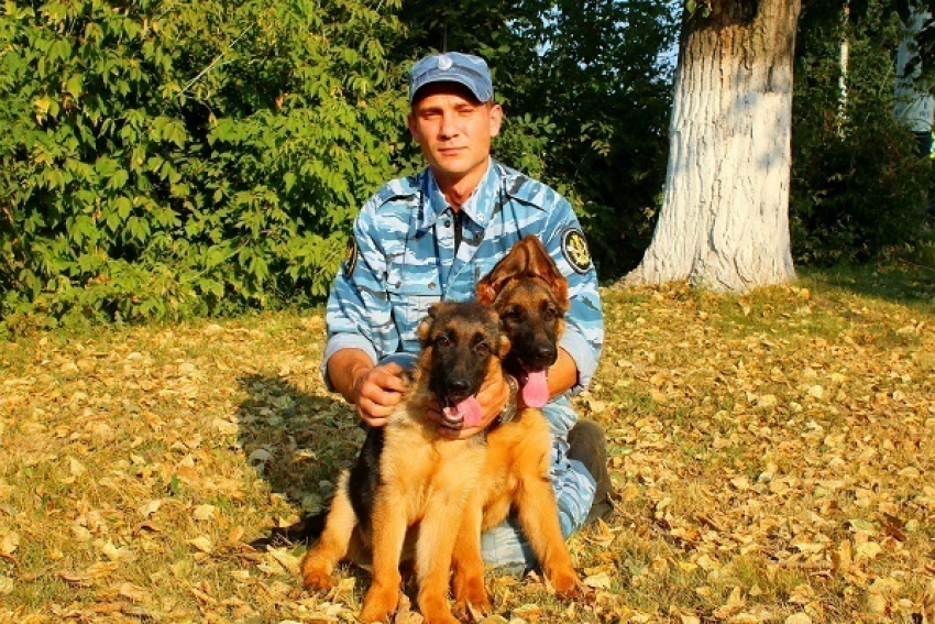 Тайфун, Роял Флеш и еще 21 щенок-новобранец поступили на службу в УФСИН Тамбовской области 